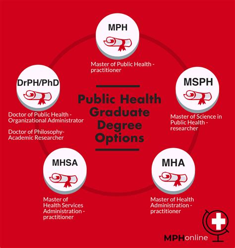 usf mph online|usf online public health degree.